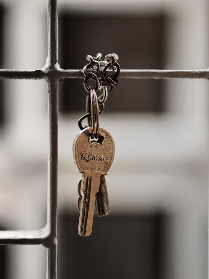 heros-img A detailed shot of metal keys hanging on a wire grid with soft focus background.